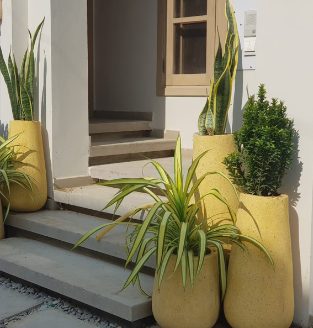 Sunny Days - Concrete Terrazzo Planter