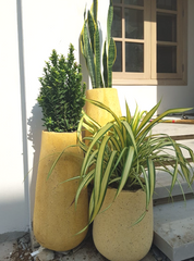 Sunny Days - Concrete Terrazzo Planter