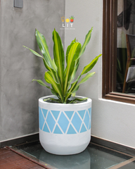 Beehive (Blue) - Concrete Planter