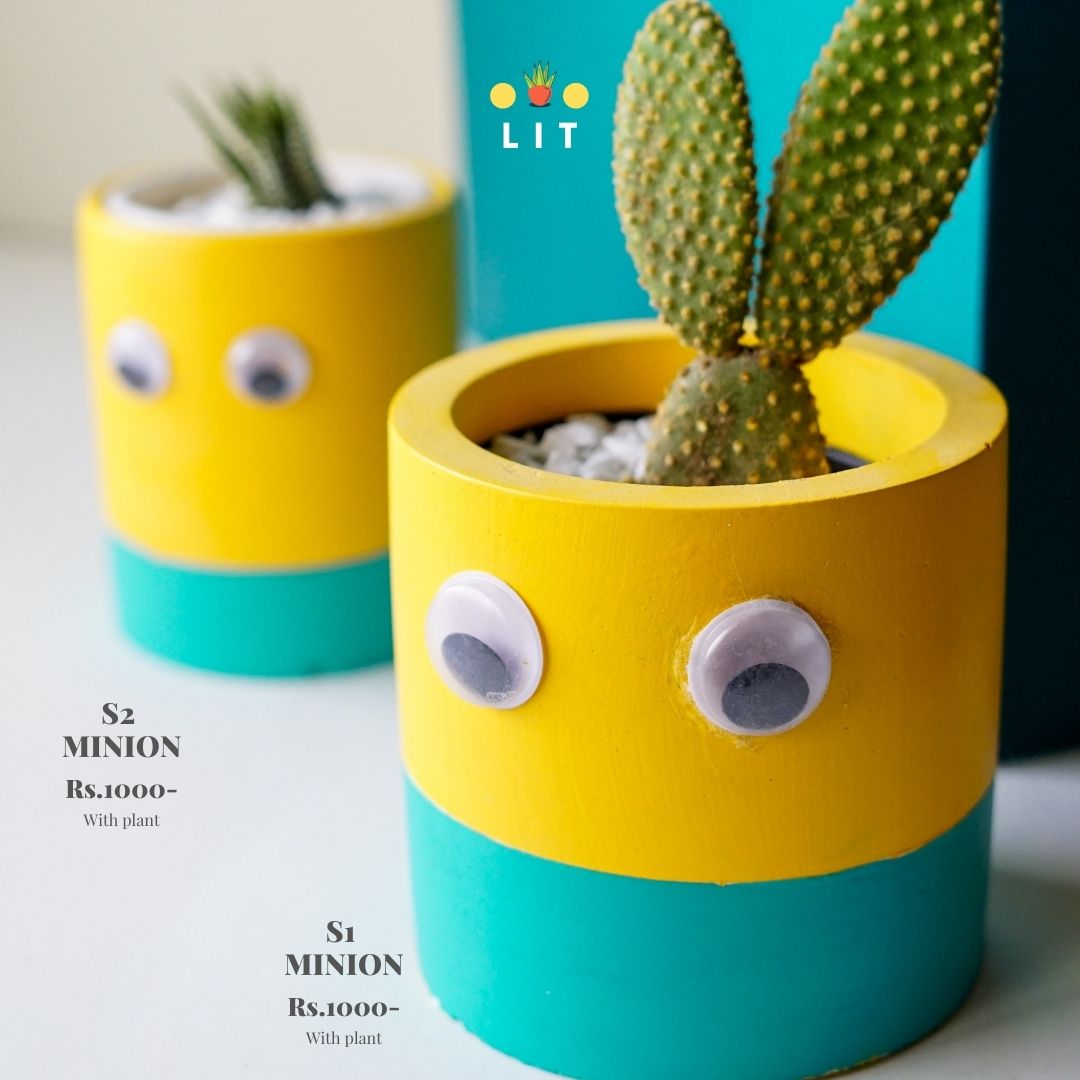 Home & Garden - Minion