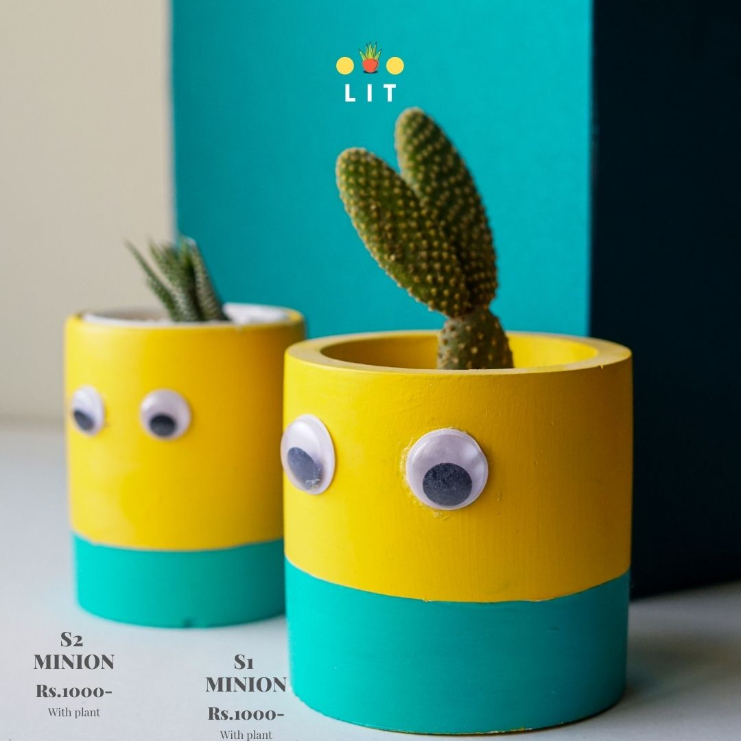 Home & Garden - Minion