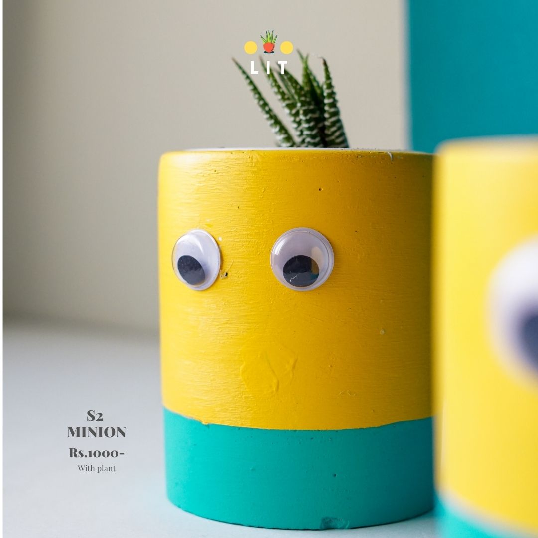 Home & Garden - Minion