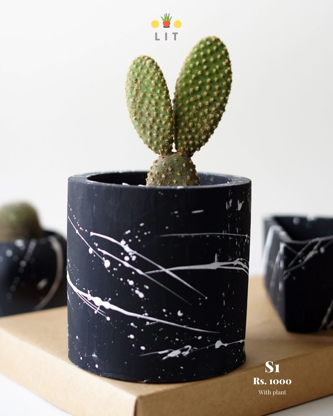 Decor - Black Splatter