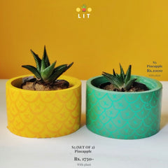 Decor - Pineapple