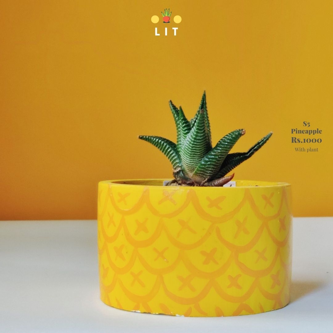 Decor - Pineapple