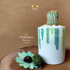 Decor - Evergreen