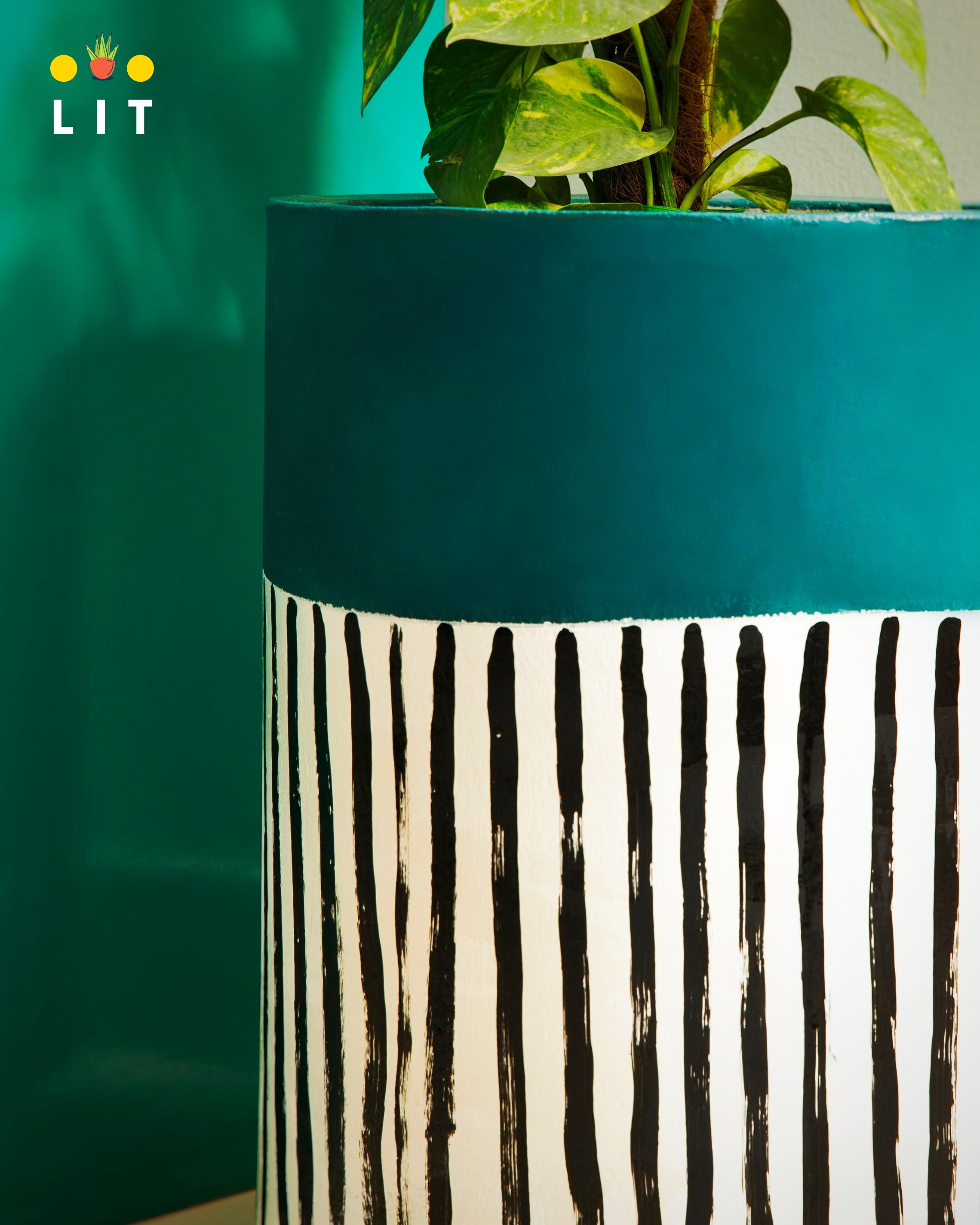 Decor - Zebra Stripes