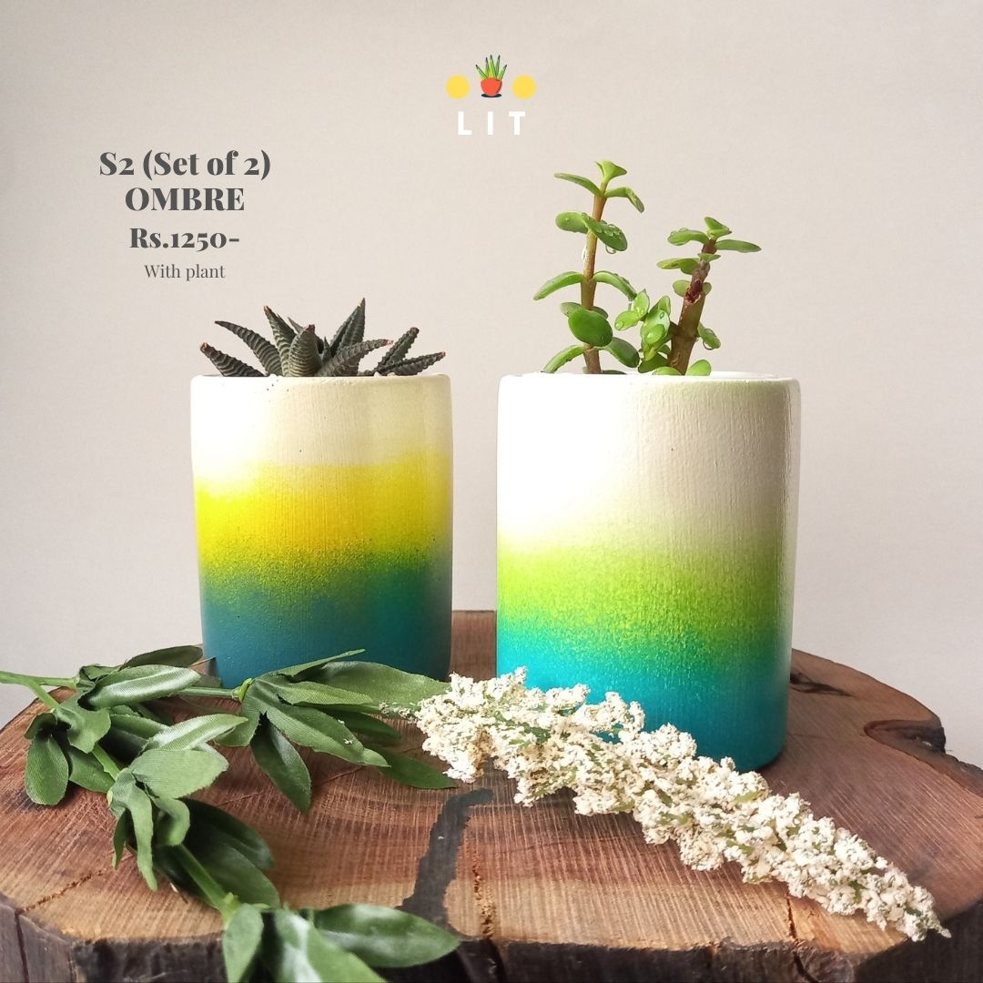 Home & Garden - Ombre