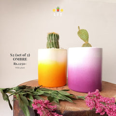 Home & Garden - Ombre