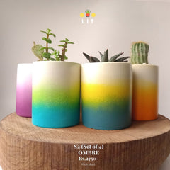 Home & Garden - Ombre