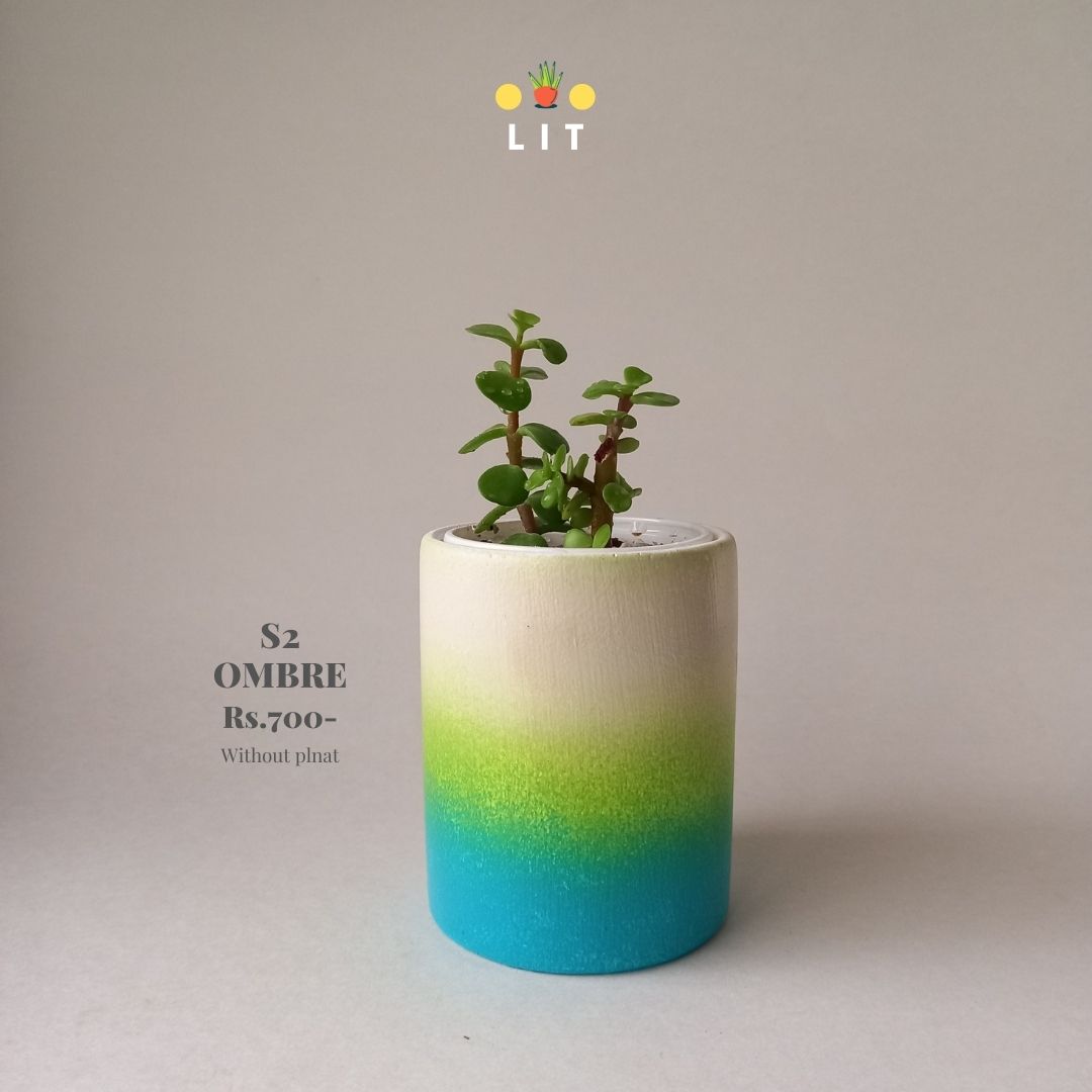 Home & Garden - Ombre