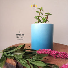 Home & Garden - Ombre